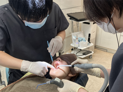 応急処置・治療